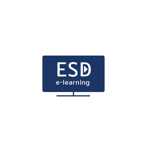 e-learning